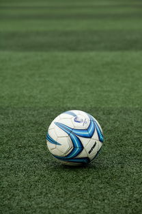 开云官网APP下载-校园足球联赛启动基层青训营选拔工作展开，2020足球青训选拔